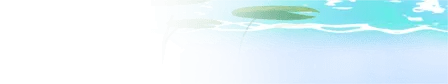 The Same Duck