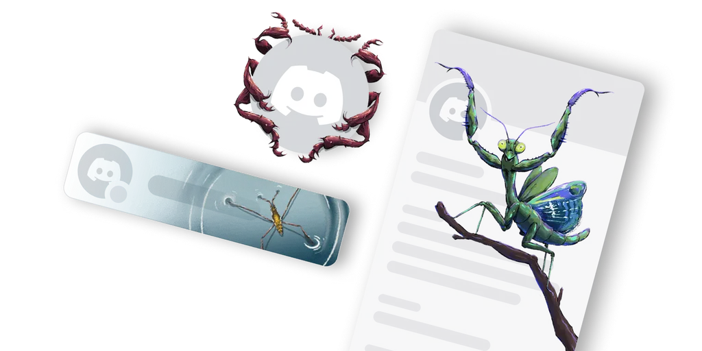 Longlegs Bundle