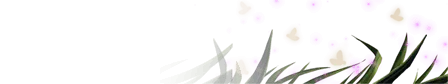 Firefly Meadow