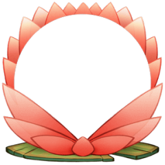 Lotus Flower