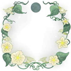 Moonflowers
