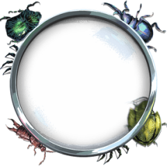 Bug Reveal