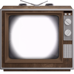 TV Woman