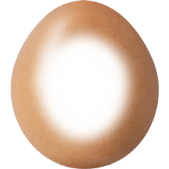 Egg