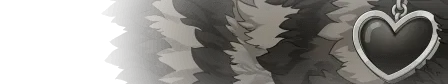 Alt Raccoon Fur