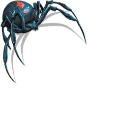 Black Widow
