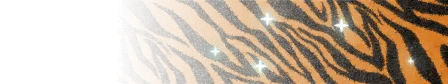 Tiger Print