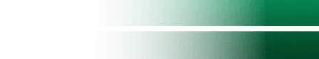 Saudi Arabia