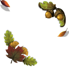 Woodland Leaves