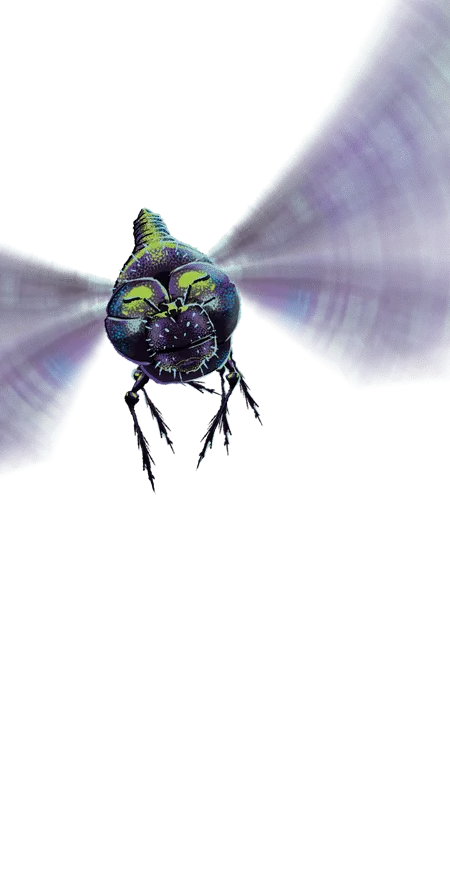 Dragonfly