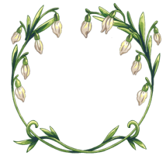 Snowdrops