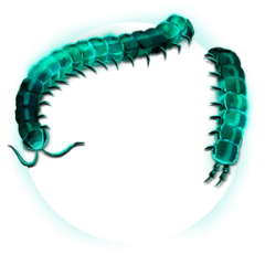 Motyxia