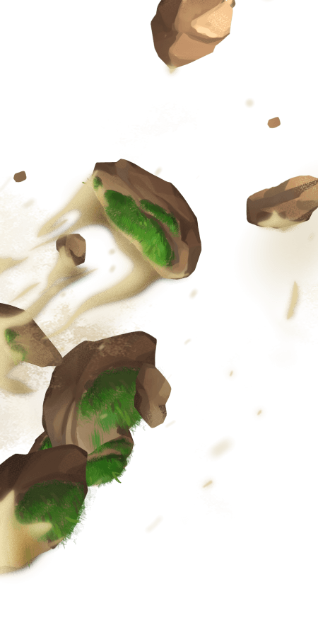 Rock Slide