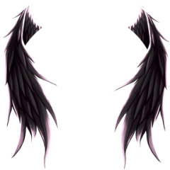 Fallen Angel (Black)