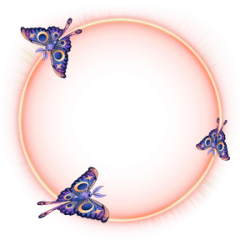 Luna Moths