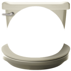 Skibidi Toilet