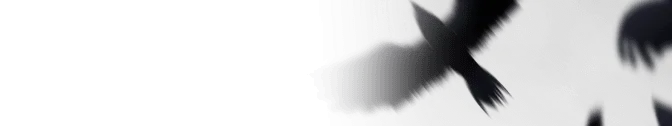 Nevermore