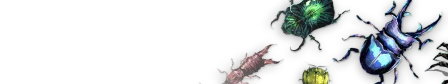 Bug Colony
