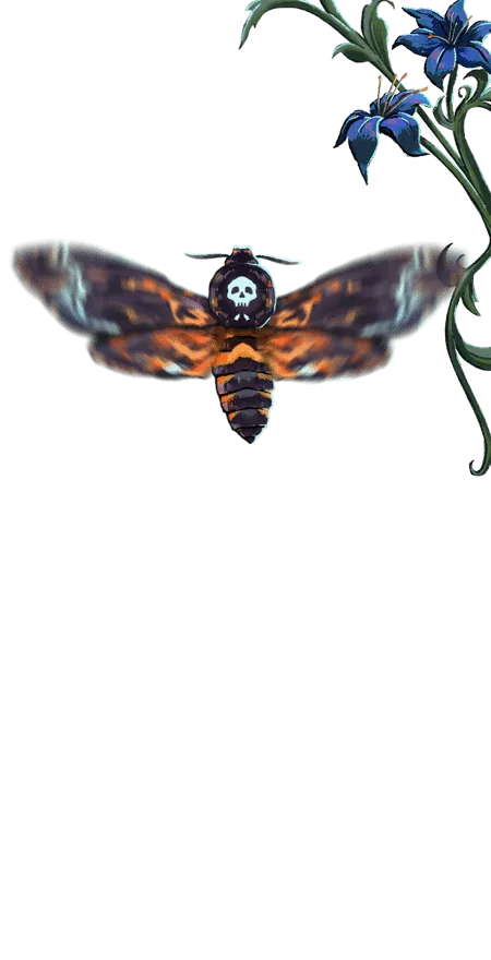 Death's-Head Hawkmoth