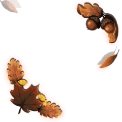 Fall Leaves