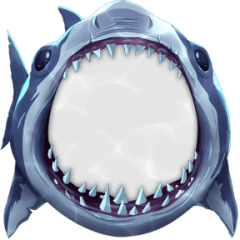 Shark Attack