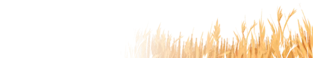 Virgo