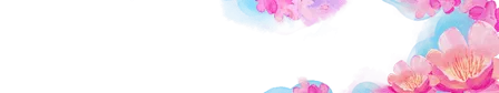 Petal Bloom